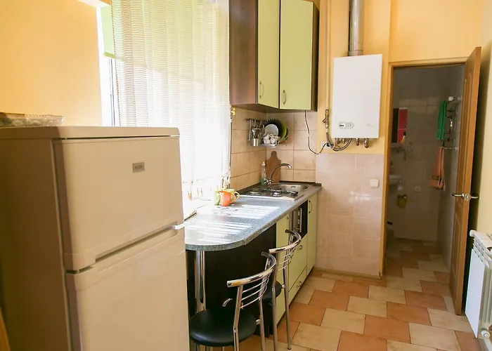Apartment In L\'Viv City Center